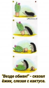 Как азиатские блогерши фанатов дурят