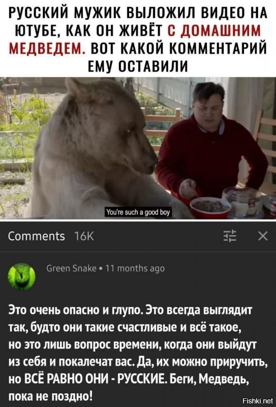 В Томской области медведь задрал мужчину, занимавшегося вырубкой леса