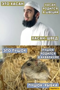Позитивные фотки воскресенья 