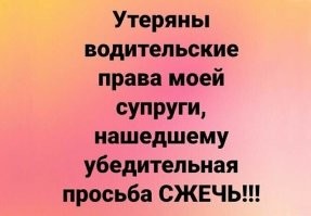 Правильно! Спасём и машину, и пешеходов!