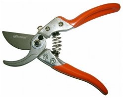 Микрочип на ногте может упростить работу в Сети