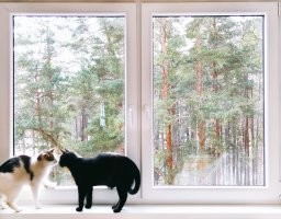 Часть наших красотулей :)