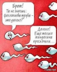 Когда выигравших нет