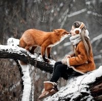 Ссыкотное фото.. Если не домашняя и не фотошоп, то лисы выходят к людям когда больны бешенством..