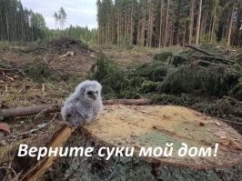 С добрым утром!