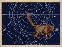 Охренеть медведице хвост приделали.....