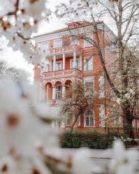 а мне милей не шумные