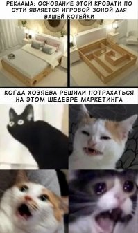 Смешные комментарии из соц.сетей