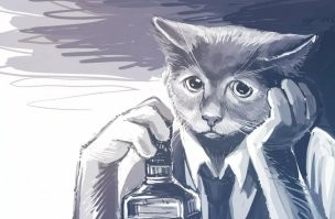 Смешные комментарии из соц.сетей