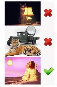 Девушка вырастила утенка из яйца