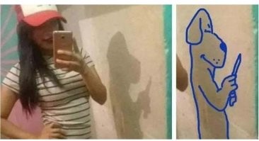 Смешные комментарии из соц.сетей