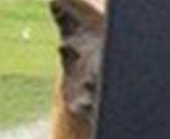 Смешные и познавательные картинки