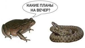 Коротко по Палестине. 17.05.2021