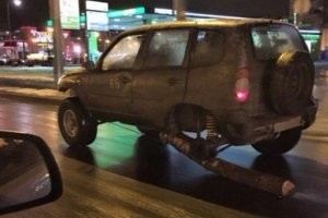 Собака и большая палка