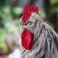 Смешные комментарии из соц.сетей