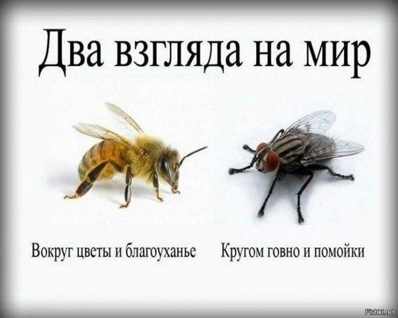 Каждый видит то, что хочет видеть.