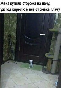 Смешные и познавательные картинки