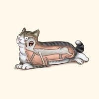 20 обычных животных в необычном ракурсе: разрезы, скелеты, рентген