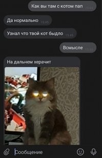 Смешные и познавательные картинки