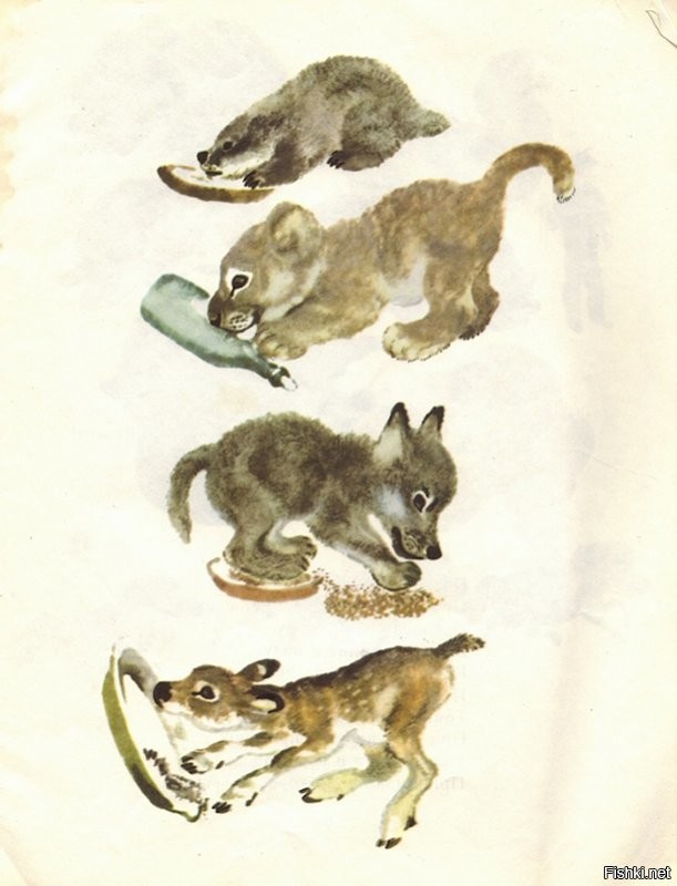 Евгений Чарушин, его рисунки тоже очень узнаваемы.