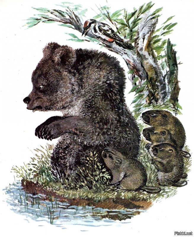 Евгений Чарушин, его рисунки тоже очень узнаваемы.