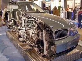 20 обычных животных в необычном ракурсе: разрезы, скелеты, рентген