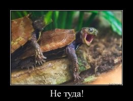 Очередной блок позитива