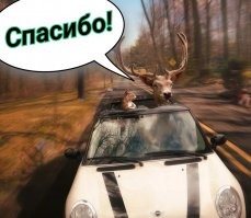 Народный автомобильный юмор в картинках