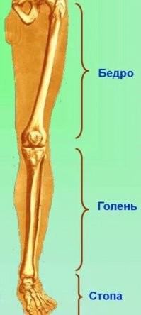 Э-э-э... Это, как бы, нормально.