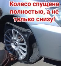 Неожиданные вопросы с женских форумов, от которых и смешно, и страшно