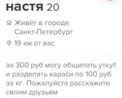 Вот такая хрень , питерские караси ...Настя где то рядом ...