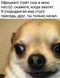 Скрины из соцсетей