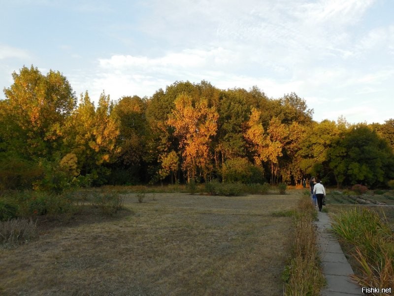 Лайк за ролик о родном городе! Вот только много к чему можно придраться. Что не понравилось. 
1. Начали о городе, а 80% времени про кузнеца. Значит, заглавие поста неверное. Нужно было что-то типа "Кузнец из Кривого Рога".
2. Съемка на смартфон? Да, вроде сейчас это уже входит в норму. Но. Используйте тогда приличный смартфон со стабилизацией видео. Или ищите оператора с твердой рукой. А так всё трясется - неприятно смотреть.
3. Нарочитый украинский язык. Для девчонки-автора он родной, звучит естественно (хотя озвучка явно студийная, а там можно было хоть с двадцатого дубля записывать. Да и читать текст с листа проще, чем разговаривать вживую). А вот парнишка-кузнец явно говорит с усилием, видно, что в голове с русского на украинский переводит. Зачем было насиловать парня? Жена его молодец: видимо, сказала "журналистке", мол, сама говори на каком хочешь языке, а я буду отвечать по-русски, мне так удобнее.
4. Чисто из уважения к Кривому Рогу можно было вначале вставить действительно красивые "открыточные" виды города, а тут всё слишком бледное и смазанное.
5. Это уже так, просто для информации. Журналистка из Марганца снимает ролик о Кривом Роге. Марганец - это малюсенький городок с населением в 45 000 человек. Это как журналист из Иваново снимет ролик о Москве. Забавно.
Несколько моих фоток. Конечно, это далеко не лучшие места города, просто снимал что рядом.