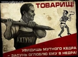 В Петербурге двое мужчин отлупили переодетых в женщин тиктокеров