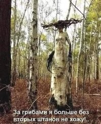 А это смотря за какими грибами ходить.
И, да, вообще-то ходят по грибы.