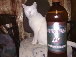 Мы с приятелем вдвоём
Нефильтрованное пьём!