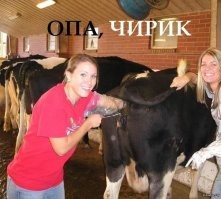 Она точно в ресторане элитном посуду моет?