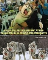 Утренняя сборка позитивных историй 