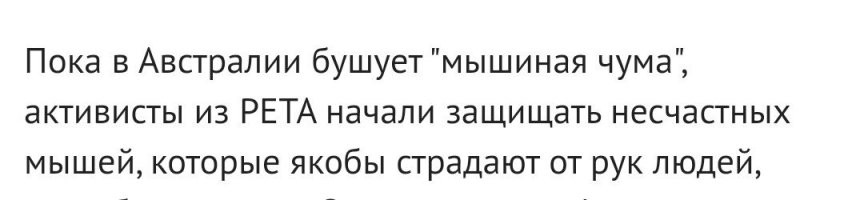 Вот их там штырит, неподетски...