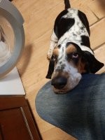 Моя - профи в этом деле))))