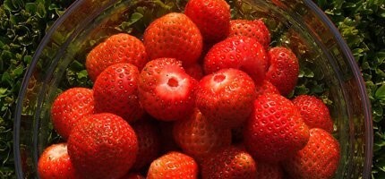 болванина только хвостик надо очистить)