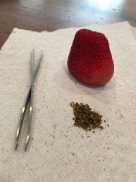 Смешные комментарии из соц.сетей