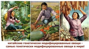 Плакаты о китайско-советской дружбе... кажется, даже слишком горячей