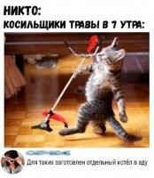 Никогда не понимал ненависти к ним. Это работа у людей такая, не будут косить когда скажут, потеряют работу. Что непонятного?