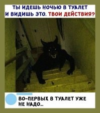 Какие ещё действия? Корму пойду насыплю, а то задолбает всю ночь по дому шариться, когтями своими об пол "цик-цик"...