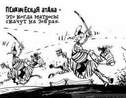 Почему людям так и не удалось одомашнить зебру