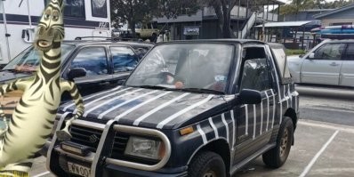 Почему людям так и не удалось одомашнить зебру