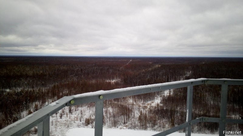 Сам-то посмотрел, что постишь?  ;) 

75 тыр за два с лишним месяца. 
65 дней.
45 из них, рабочие дни. 
На вахте, проживая "в тайге". 
В вагончике, с удобствами "на улице". 
Хорошо, если удобства "с обогревом". 
---
Я так работал, знаю не по наслышке. 
В Якутии. 

И выходит, что если на "стандартный месяц" пересчитать, та же тридцатка и выходит. 
Только живёшь больше, чем  2/3 времени не дома, с семьёй, а хз где и как, по восемь рыл на вагончик. 
Считай, как в купейном поезде живёшь. 
Но не день, два, три, а 45. 
Разве что, не качает, стука колёс нет и "ту-ту" не сигналит. :) 

А потом, ещё из тех 20 свободных, дня 4 на дорогу туда-сюда откидывая или больше, если поездом. 
Вот и выходит, отпахал 45 дней, хорошо, если с одним выходным в неделю, да ещё и часов по 10-12 в день. 
На недельку-две домой съездил, отоспаться. 
И обратно "в тайгу", к комарам и мошке. К морозу и грязи по колено.  
Если на еде начальство не сильно экономит и повора нормальные, то считай крупно повезло. 
Если есть "ларёк", где можно хоть сигарет-печенек купить, то прям лафа. 
Иначе всё везти из "цивилизации". 

И да, не факт, что там нормальная связь есть. 
А уж "скоростной интернет"... Х-ха!

И вся эта радостная радость, за тридцатку в месяц. 

И это ты ещё и сварщик, а не "подсобный рабочий". 
Т.е. квалифицированный работник. 
Между прочим, на вредной работе. 

Ахренеть жизнь!