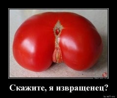 Убойные снимки из серии "Показалось", которые способны разорвать ваш мозг на части