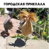 Это Джигурда вообще-то. Знать надо такие вещи.